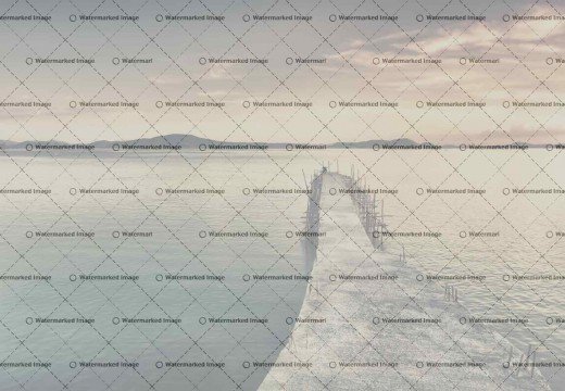 Arcu similique at quos